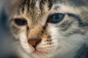 未経験の保育士が採用されない理由とは？