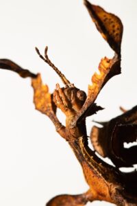 保育士未経験での就職をやめとけと言われる理由は？