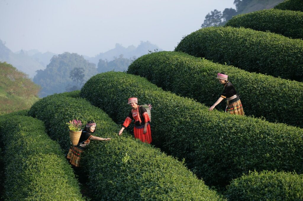 子育てにおいて保育士の経験が有利になる理由は？