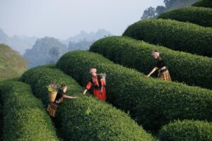 子育てにおいて保育士の経験が有利になる理由は？