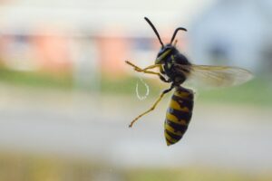 保育士資格を取得するための期間はどのくらいかかる？