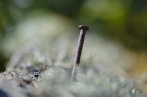 未経験の保育士が給料を上げるための方法は？