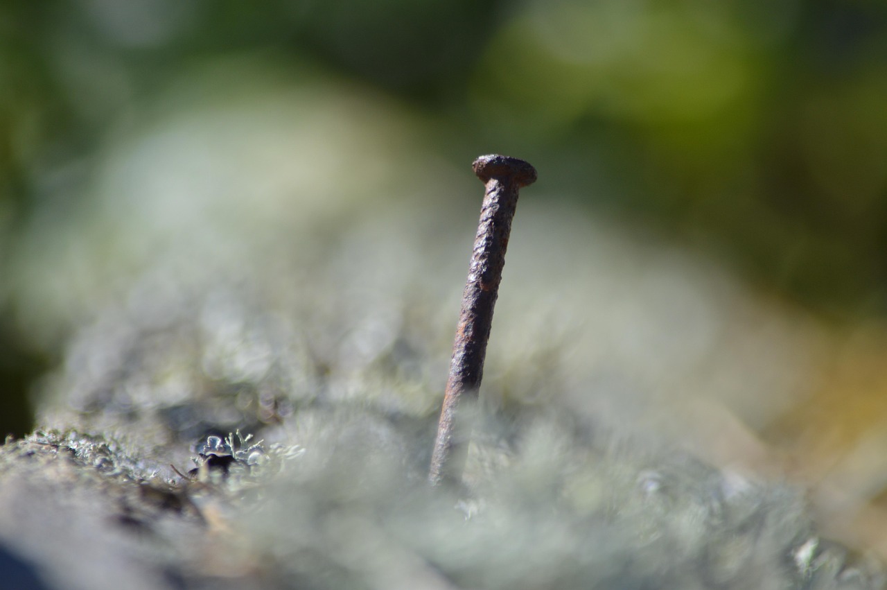 未経験の保育士が給料を上げるための方法は？