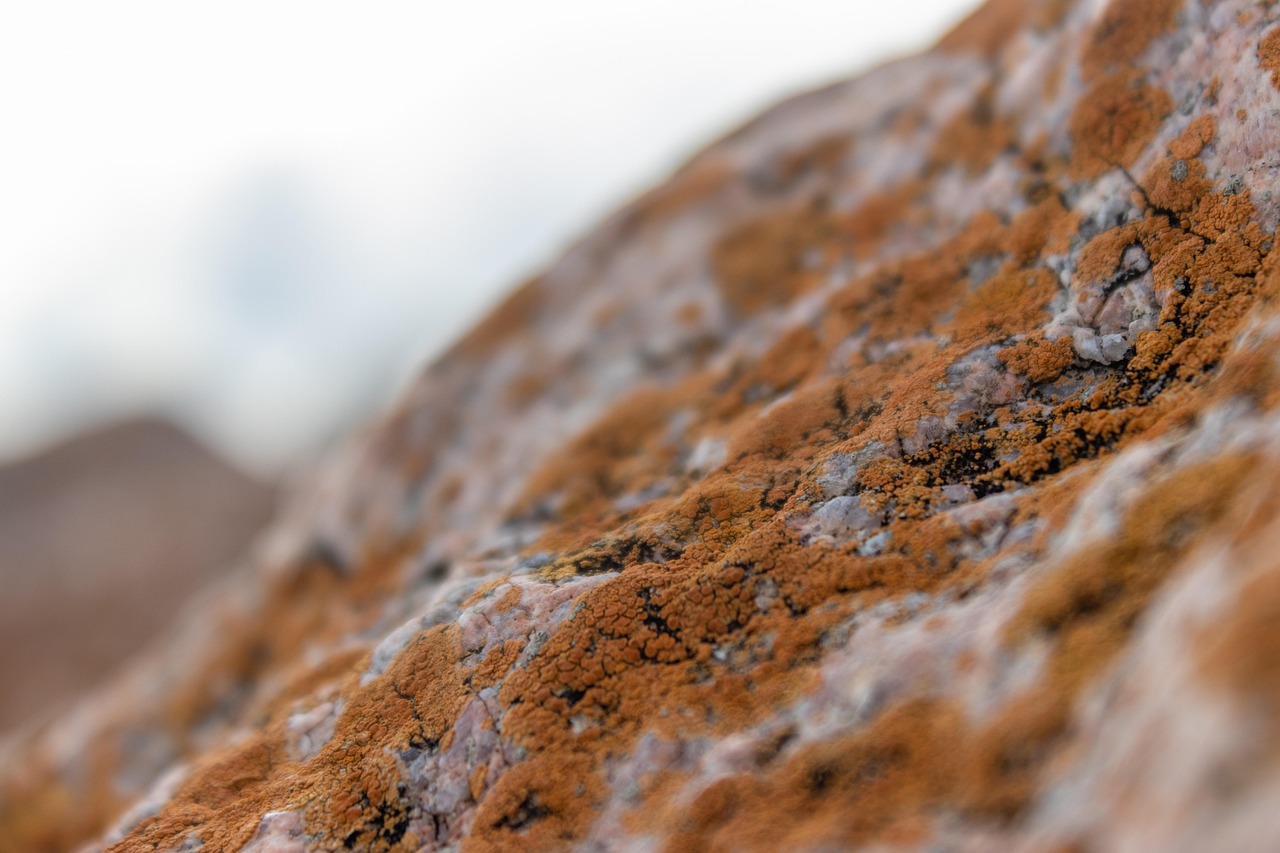 企業主導型保育への未経験者の転職はしやすいのか？