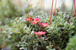 小規模保育で未経験の保育士が知っておくべき仕事内容は？