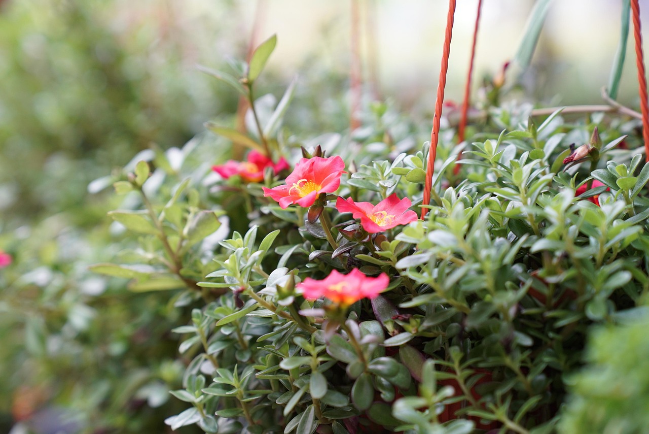 小規模保育で未経験の保育士が知っておくべき仕事内容は？