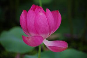 未経験からの保育士転職で引っ越しを伴う際のポイントは？