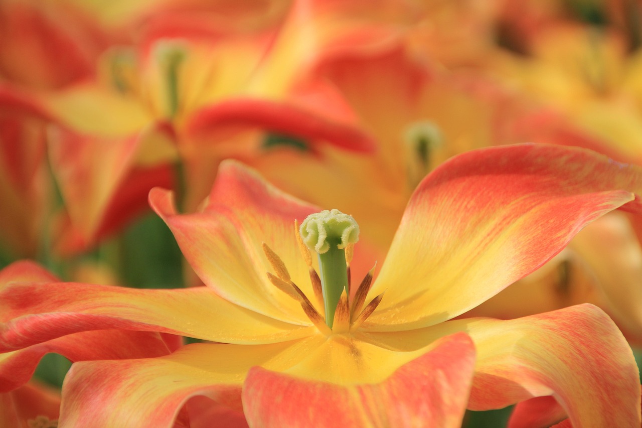 認可保育園で未経験者が転職する際のきついポイントは？