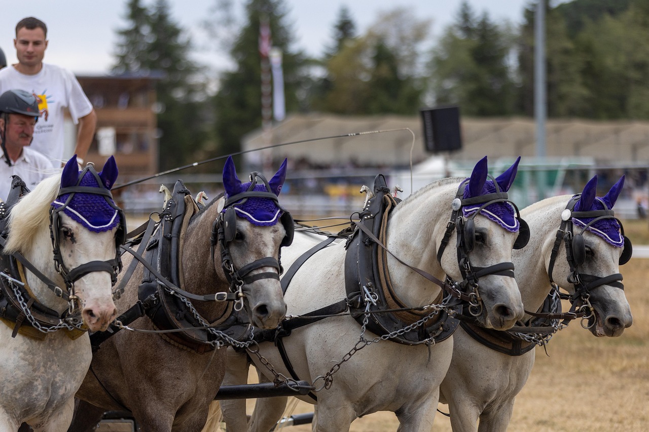 保育士未経験の転職における退職理由の伝え方は？