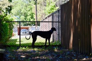 保育士未経験から転職して退職しないためのコツは？