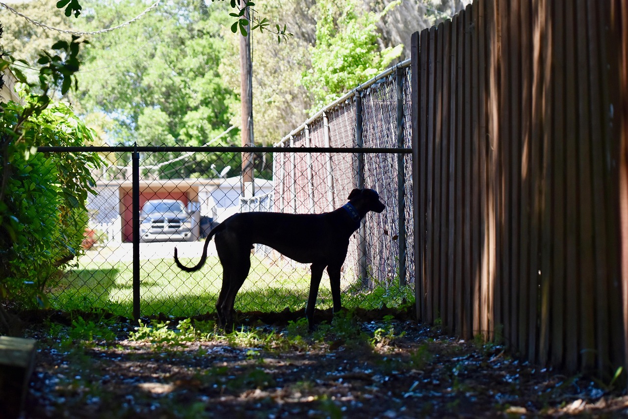 保育士未経験から転職して退職しないためのコツは？