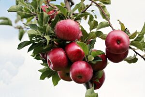 保育士未経験から転職する際、福利厚生が良い園の見分け方は？