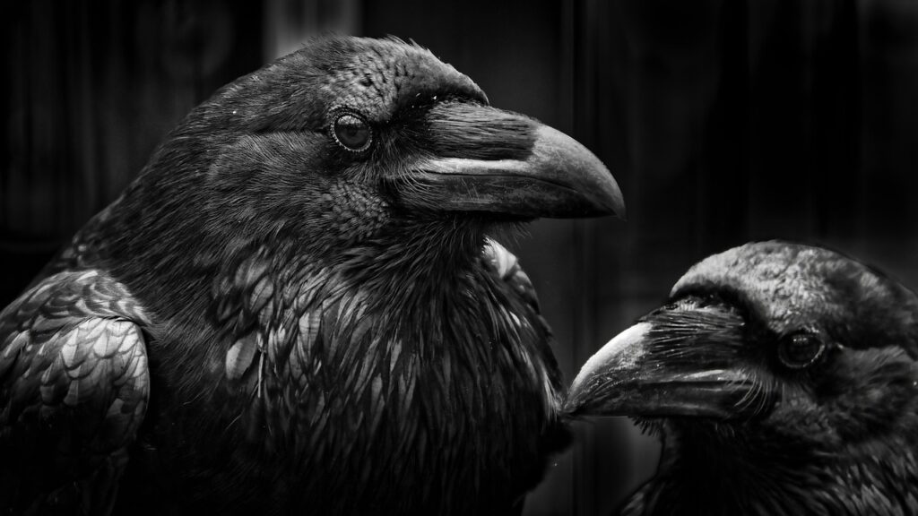 保育士未経験者が転職先の園と合わないか見極める方法は？