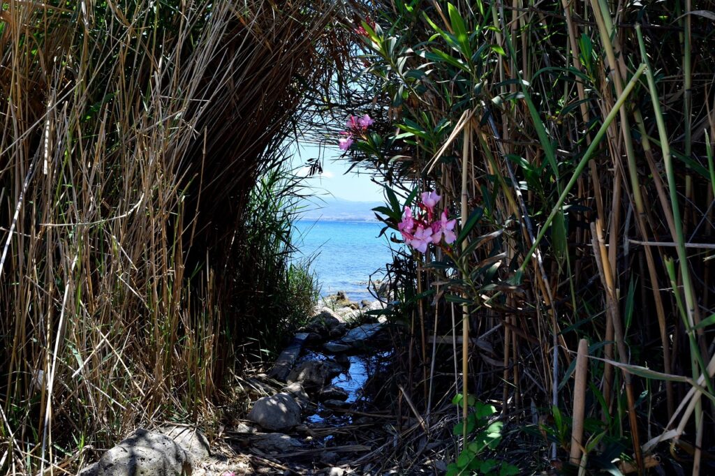 保育士未経験者が転職時に採用担当が見るポイントとは？